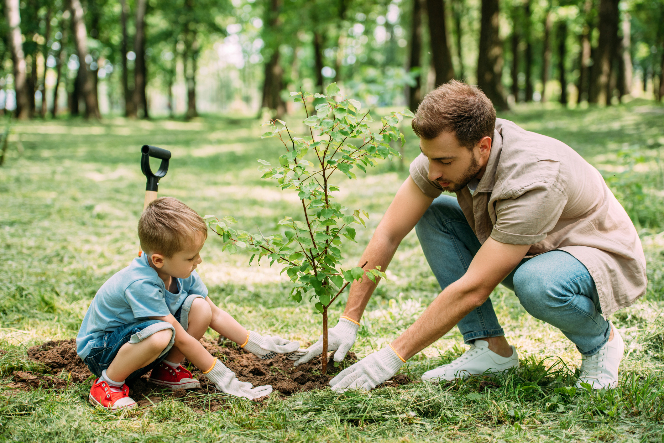 Sembrando el futuro Los valiosos beneficios de enseñar a los niños a plantar arboles.jpg
